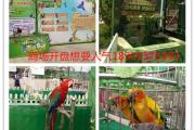 十堰环球飞车租赁