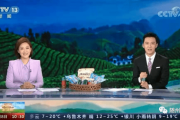 央视“说”随州！为这些“随州元素”点赞