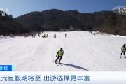元旦假期租车旅游订单量明显增长！成都、北京等地成热门租车目的地