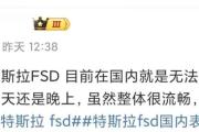 特斯拉FSD入华 武汉尝鲜车主：它像“不太懂规矩的优等生”