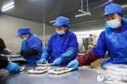 新春走基层丨仙桃黄鳝越游越“欢”