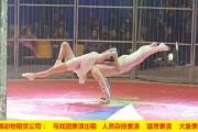 哪有环球飞车出租随州大象巡演租赁